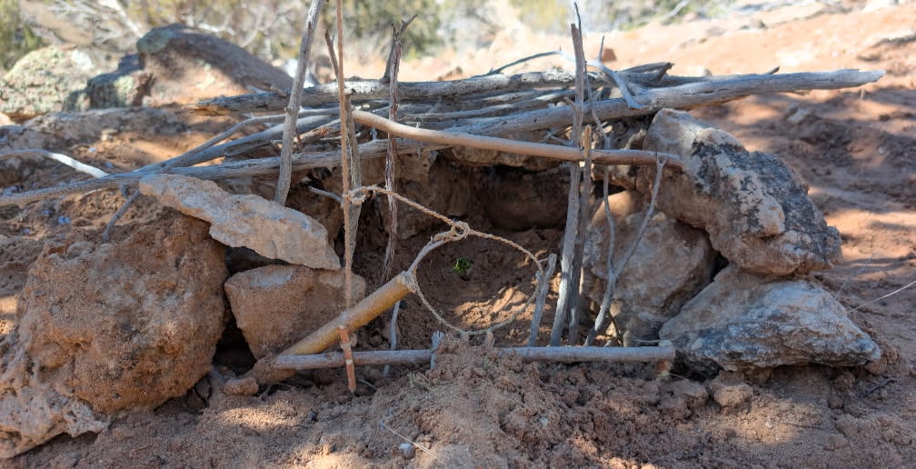 Wilderness Self-Reliance — natural materials and cordage